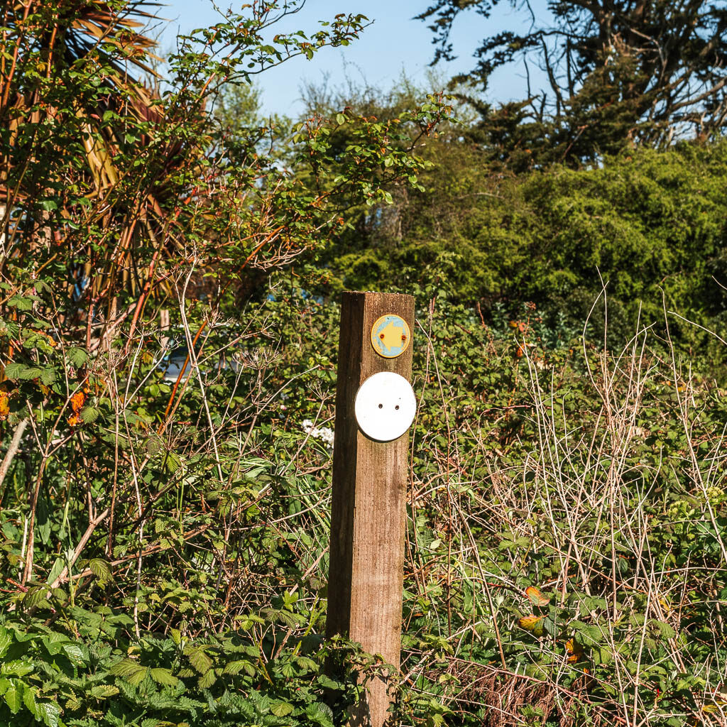 A wooden trial signpost nestled in the bushes.