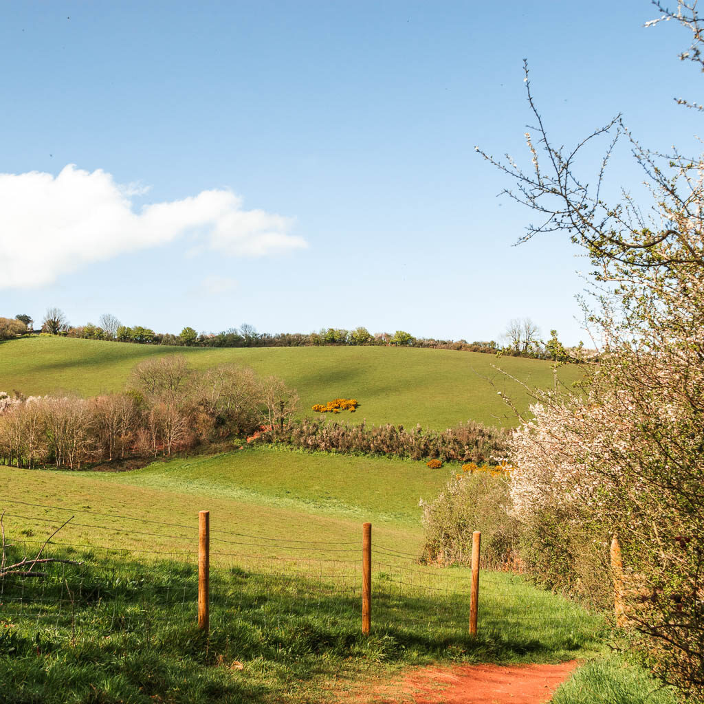 Looking down into the hill valley of green fields.