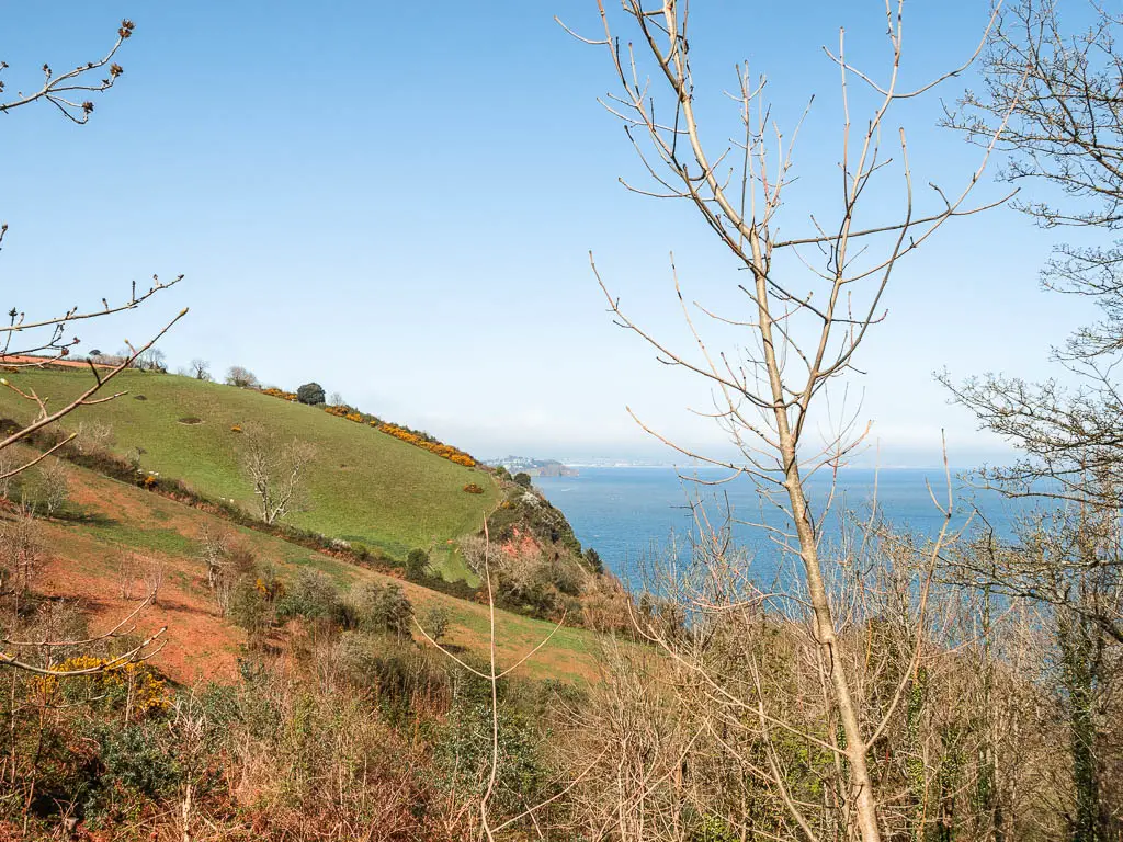 Looking across to the hills of the grass covered clifftop field on the coastal walk from Babbacombe to Teignmouth and Shaldon. The blue sea is on the right.