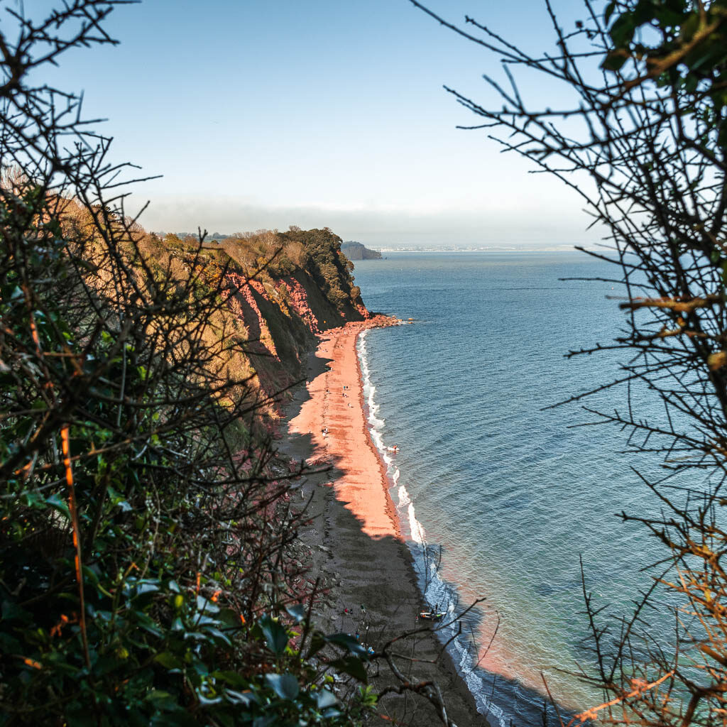 Looking through a gap in the trees to Ness Beach, a long red sand beach below the cliff.