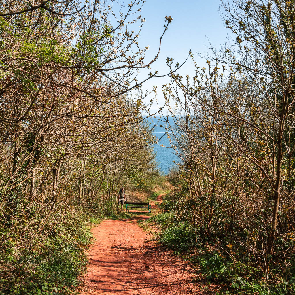 The red dirt trail leading downhill, surround by leafless trees.