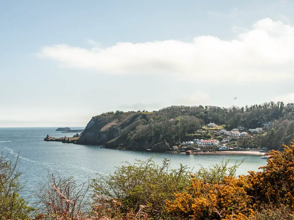 Looking across the bush tops to the sea and tree covered peninsular ahead, with a village nestled below.