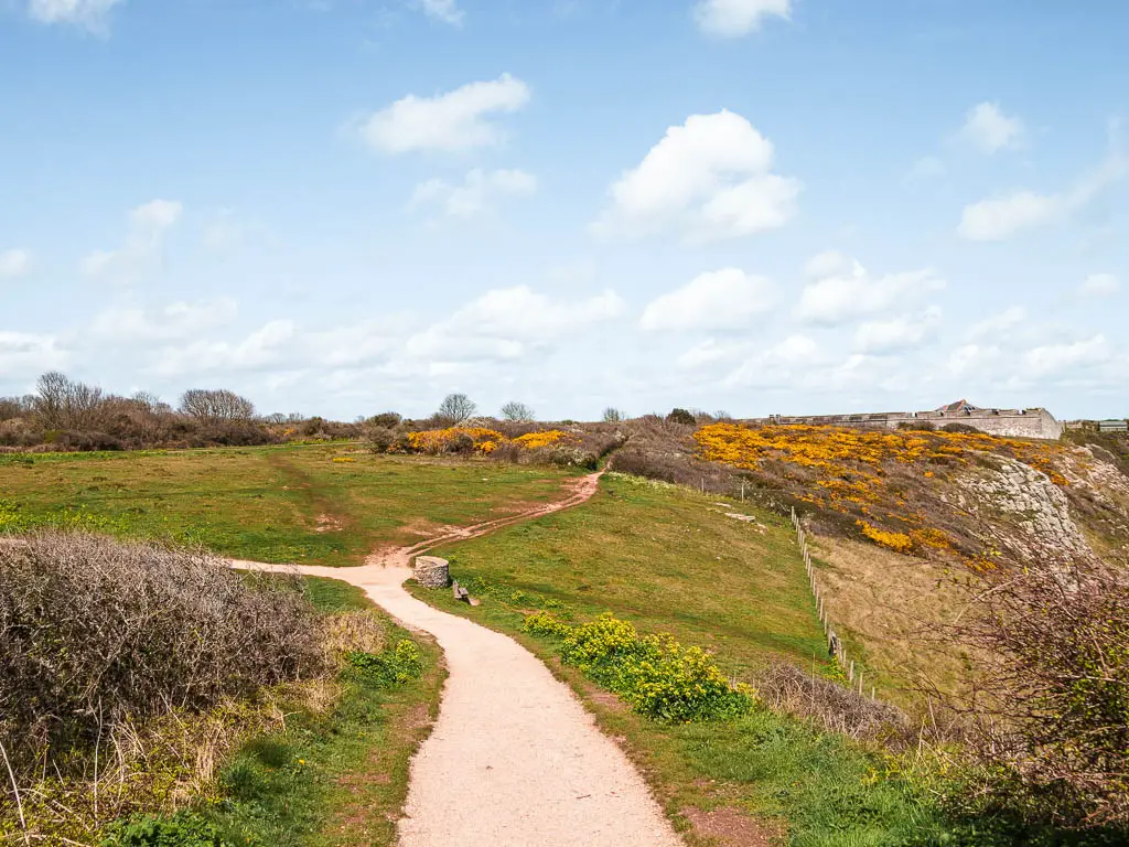 A path leading downhill to the green on the walk around Berry Head.