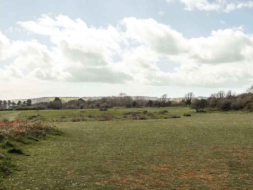 A large green field.