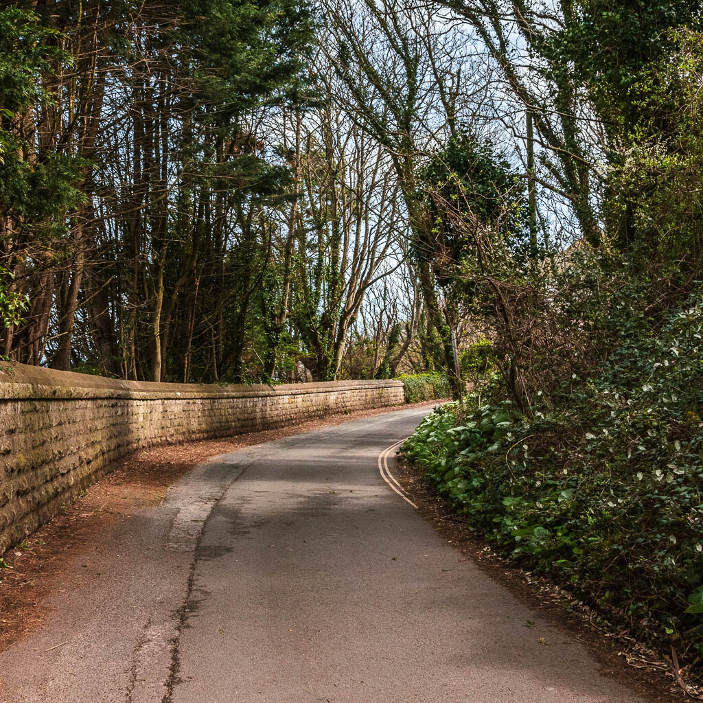 A road as it curves to the right, with a stone wall and trees on the left, and bushes on the right.