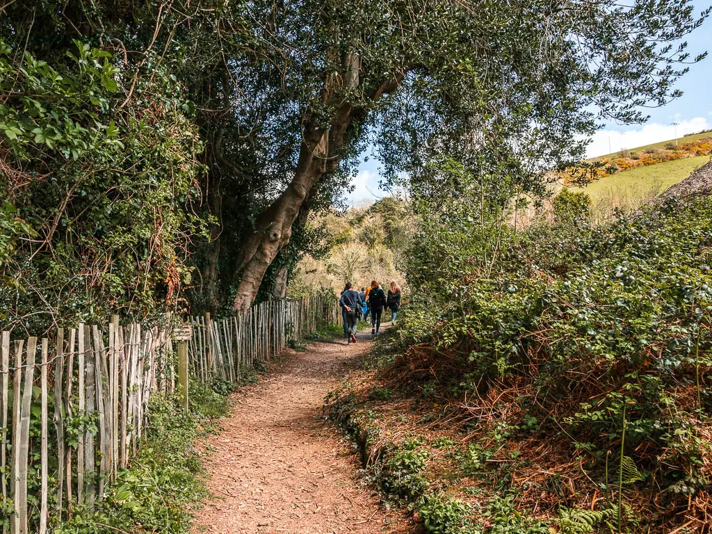 A dirt trail with bushes to the right and a wooden fence and trees to the left on the walk from Kingswear to Greenway. There are a few people walking ahead on the trail