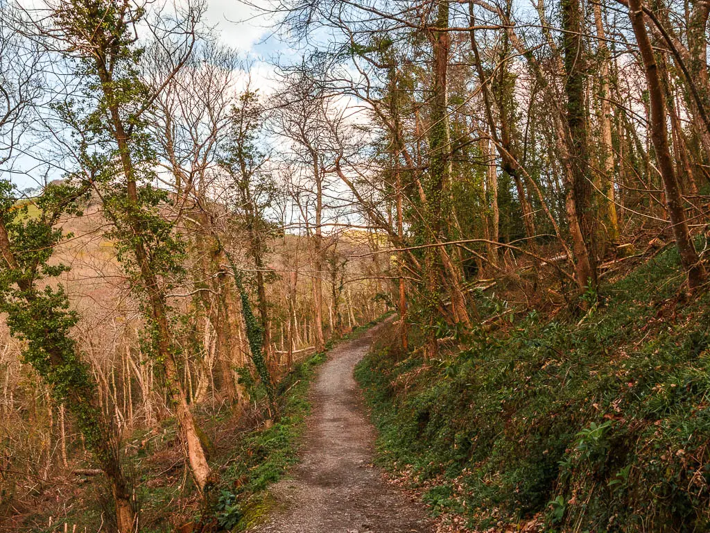 A dirt trail leading through the woodland trees on the walk from Kingswear to Greenway.