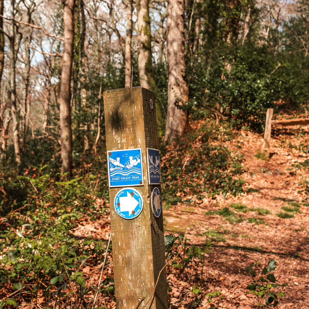 A wooden trail signpost with the blue symbol for the Dart Valley trail on the Dartmouth Dittisham walk. 