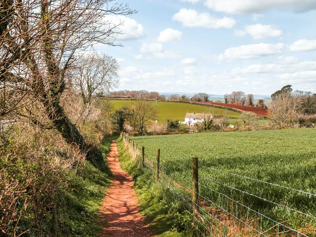 A narrow dirt trail leading downhill with trees and bushes to the left and a field to the right near Greenway on the walk from Kingswear. There is a wire fence separating the trail from the field.