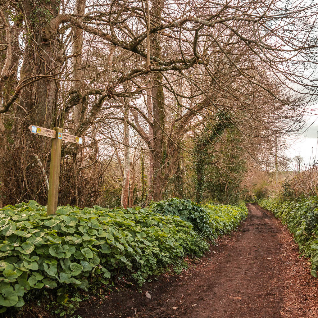 A dirt trail to the right and woodland to the left. There is a wooden trail signpost on the left of the trail.