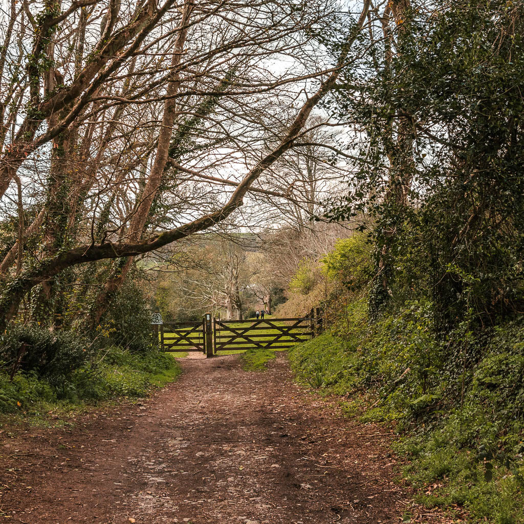 A wide dirt path leading to a wooden gate ahead.