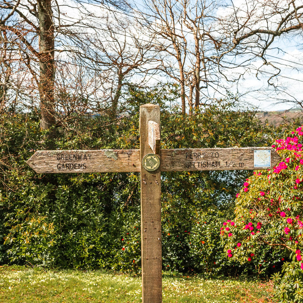 A wooden trail signpost indent of a hedge and bush with pink flowers in Greenway, Devon.