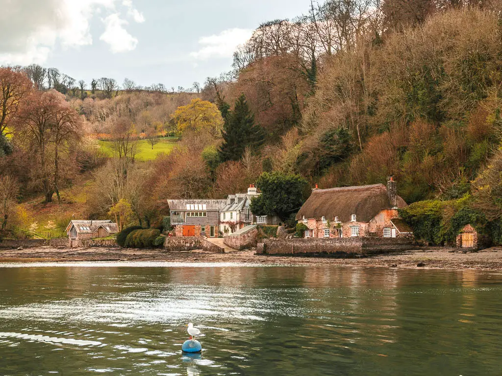 Looking across the river towards a thatched roof cottage in Dittisham on the walk from Kingswear and Dartmouth. 