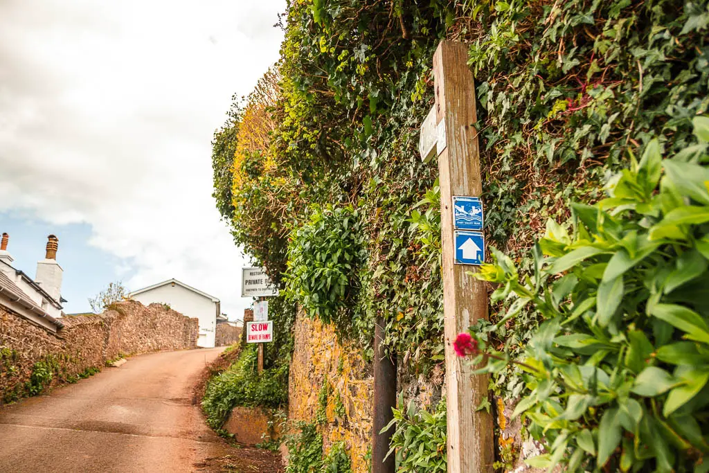 The road leading uphill on the left, and a wall to the right covered in leaves. There is a wooden trail signpost to the right with the blue dart valley trail sign on it.