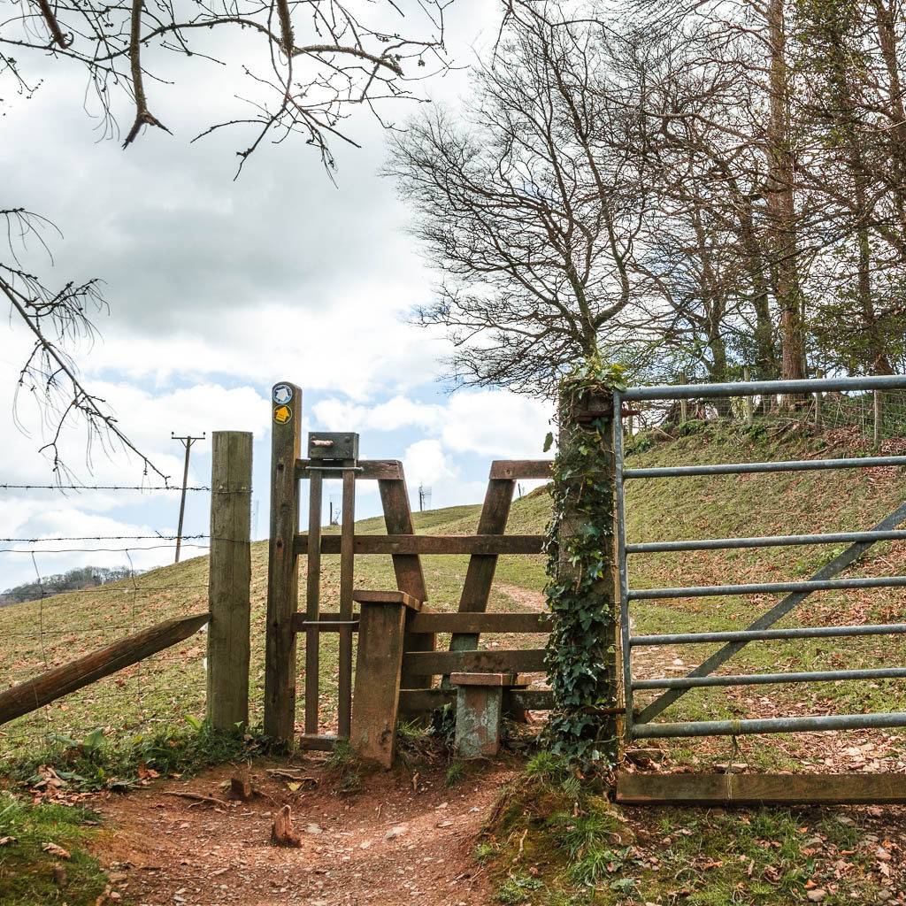 A wooden V stile leading into a field.