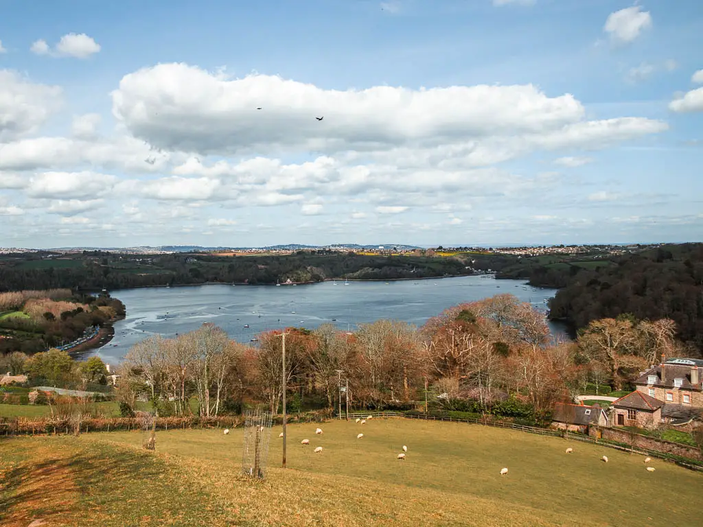 Looking down the large hill with sheep dotted about, then a row of trees and the Dart River beyond that below.