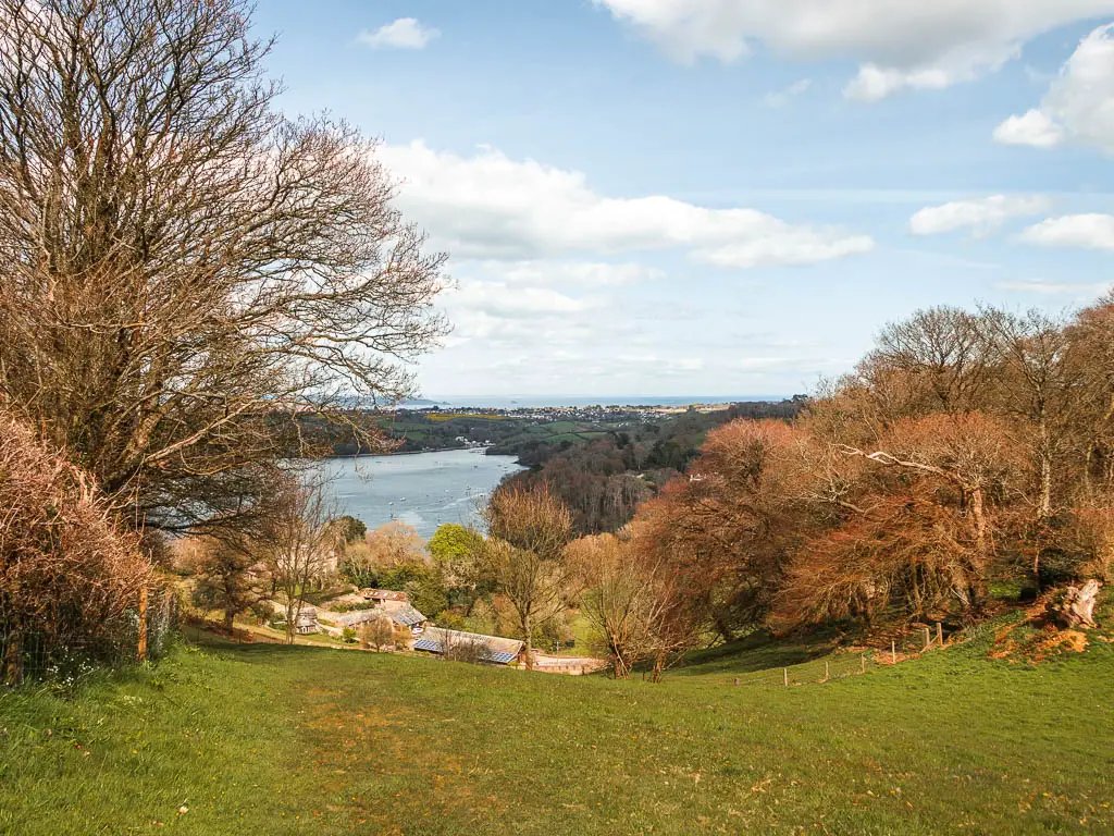 Looking down the green field hill with lots of trees at the bottom and the Dart River on the other side on the Kingswear to Greenway and Dittisham to Dartmouth walk.