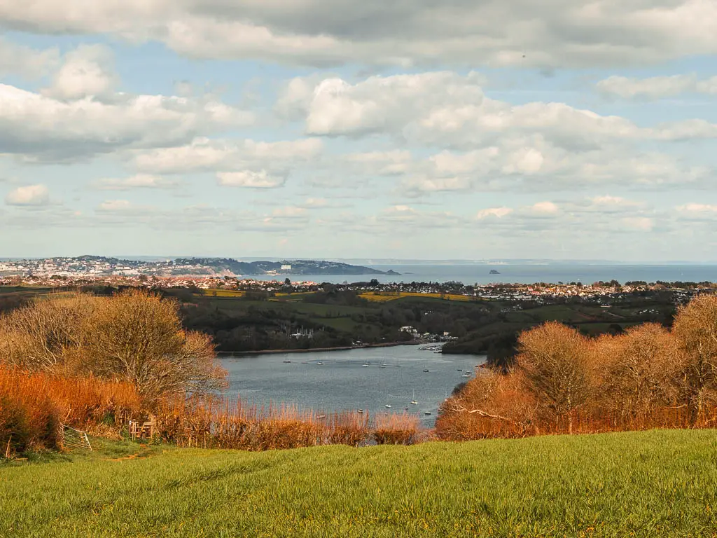 Looking down a grass hill to the river and the sea in the distance along the Dart Valley Trail walk route.