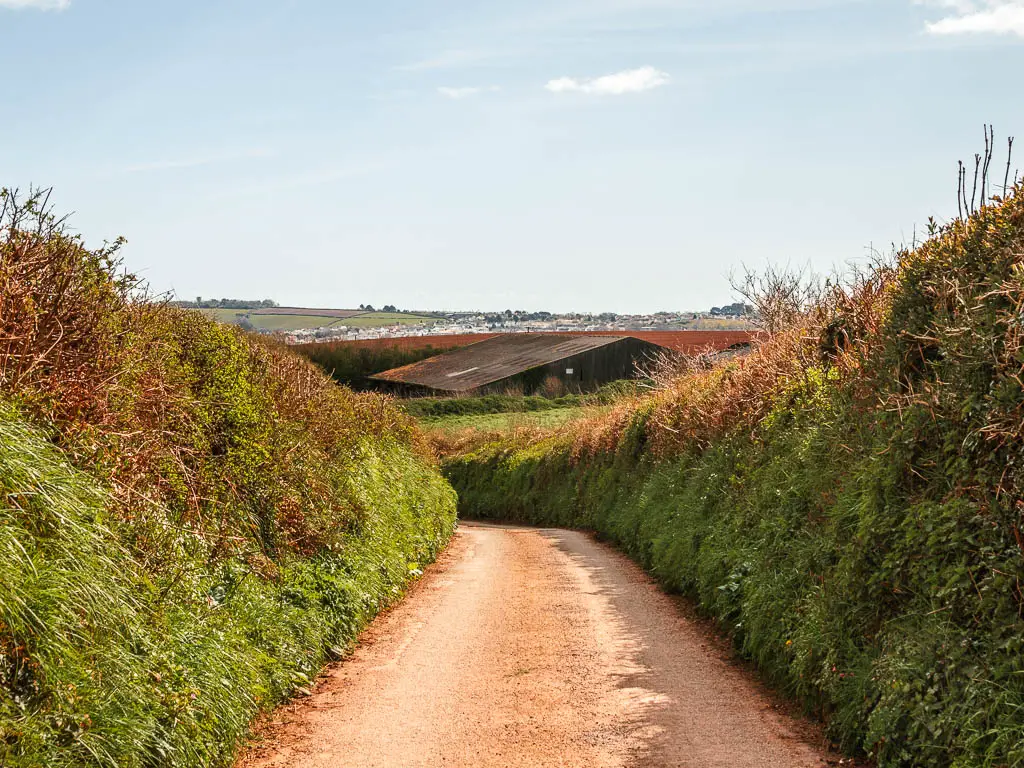 A country road with a tall green hedge on either side, and the top of a farm building ahead.