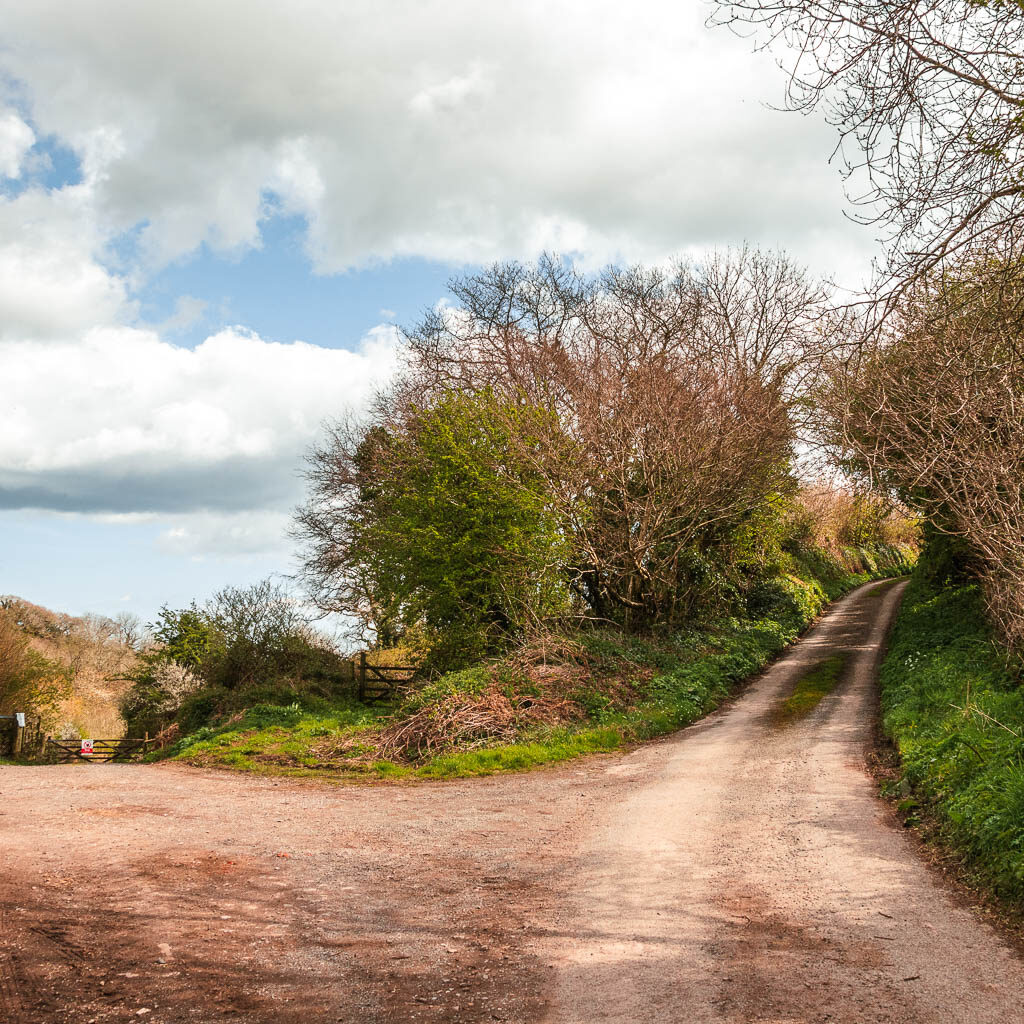 A road fork, with one leading uphill to the right and the other down to the left. The roads are separated by trees.