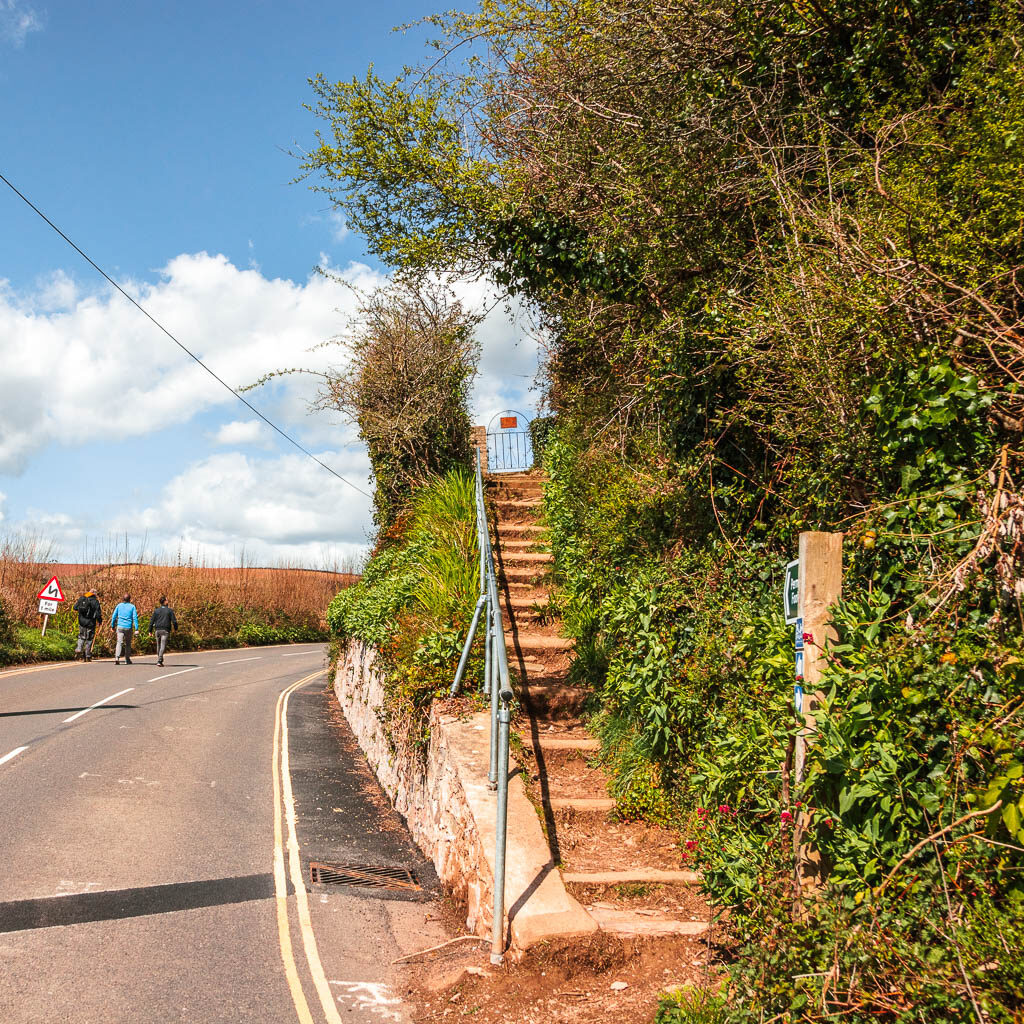 Steps leading up into the bushes and trees on the right, and a road on the left.