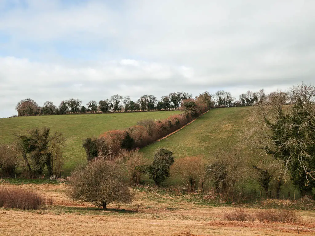 A view to a hill with fields separated by rows of trees on the Henley circular walk