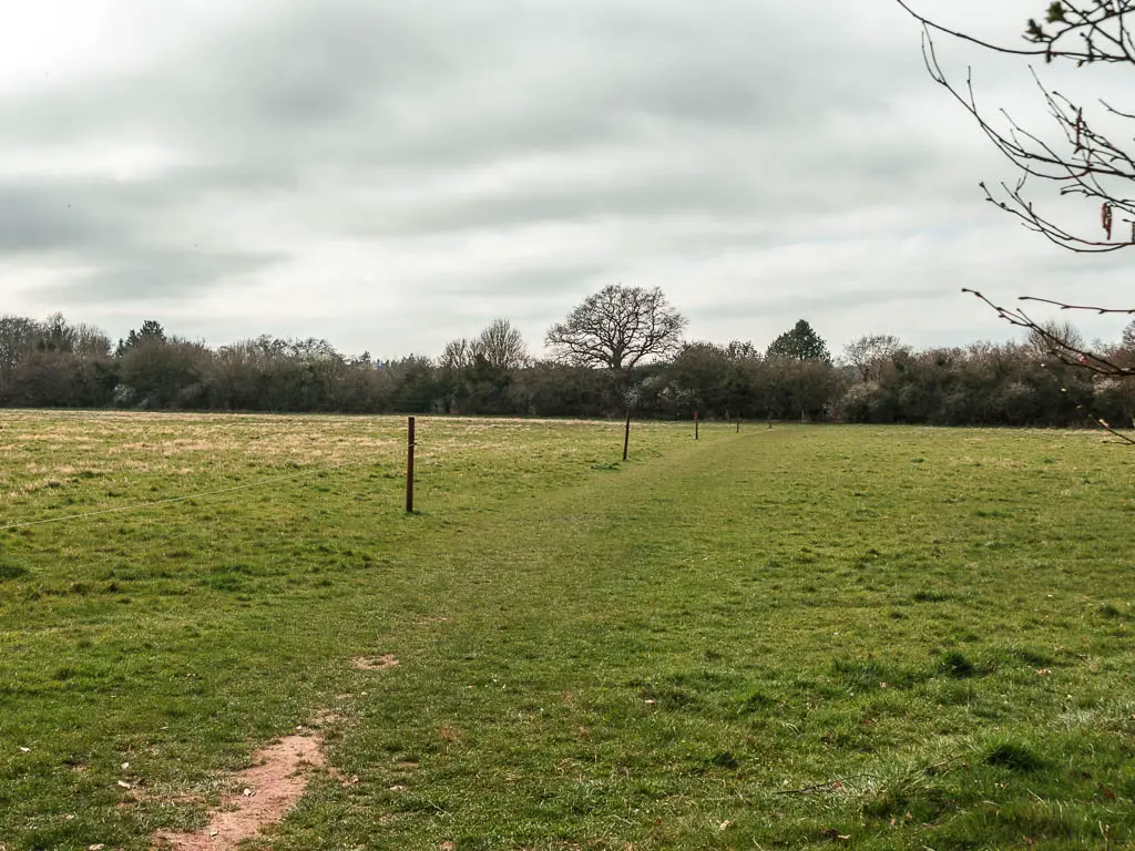 A large field with a early visible trail running through it.