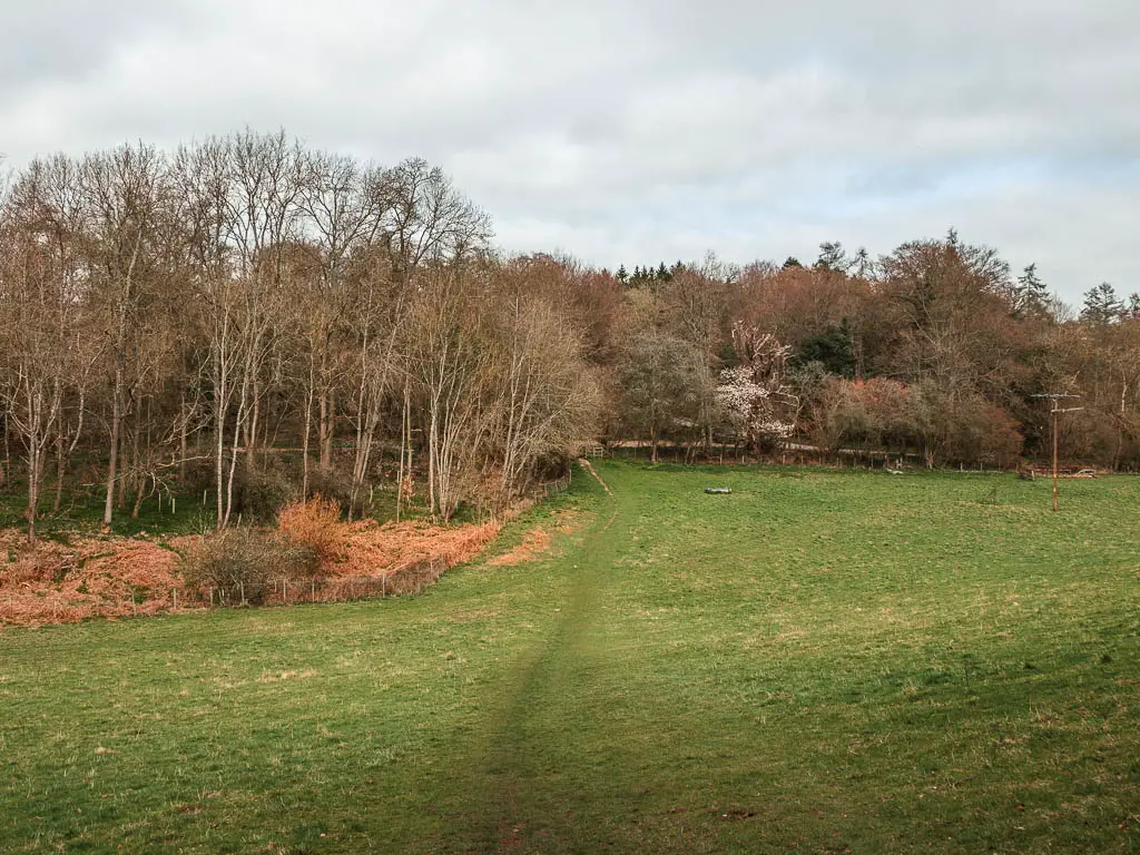 A large green grass field with leafless trees on the other side.