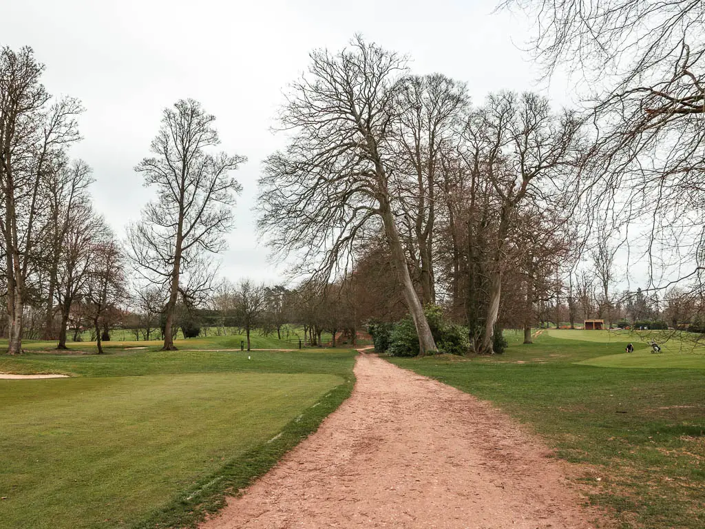 A wide sandy trail leading through the golf green. There are a few leafless trees ahead.