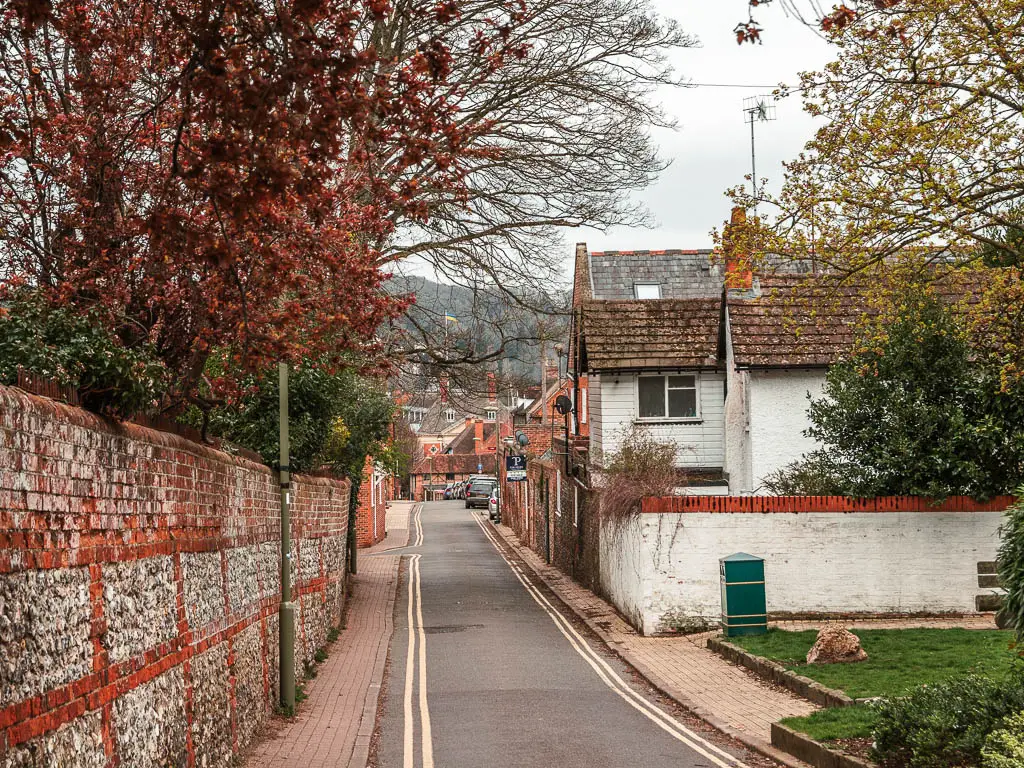 The road as it leads back down to Henley town centre at the end of the walk. There is a stone wall on the left and some houses on the right. There are a few green bushes and a tree with red leaves overhanging the wall on the left.