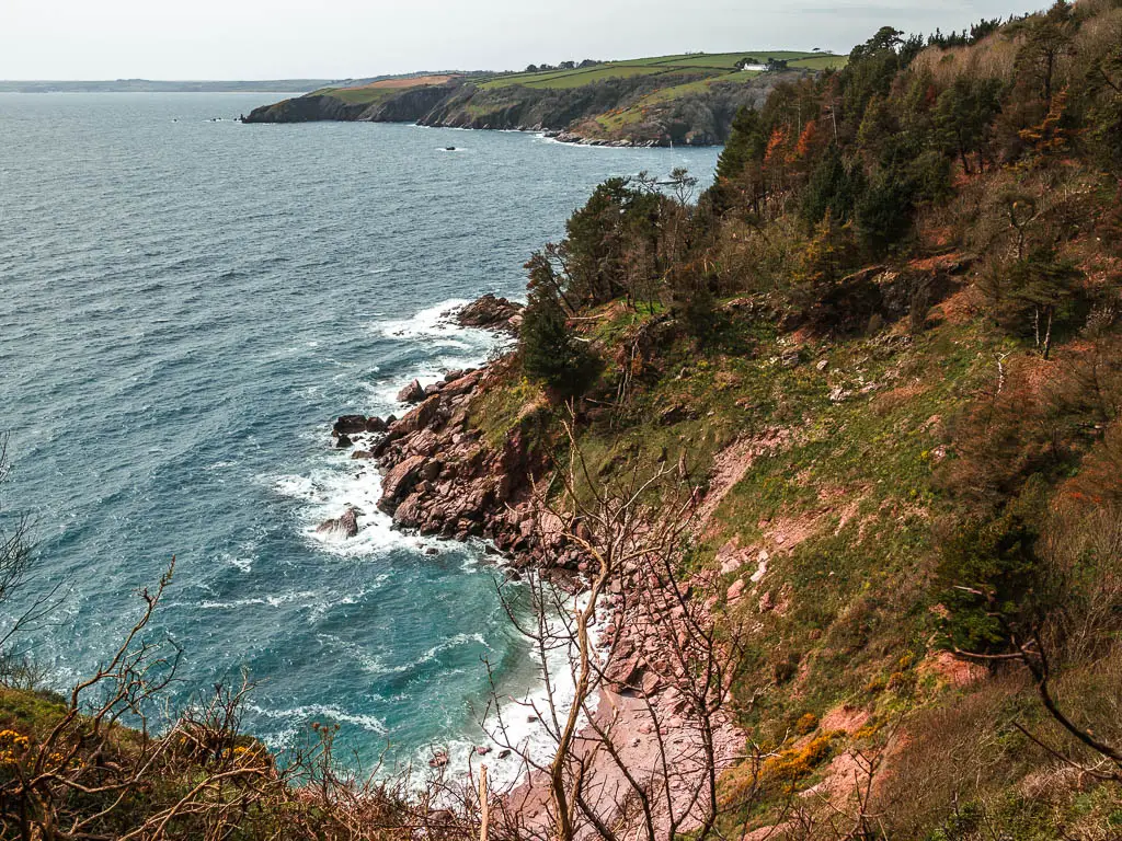 Looking down a steep drop to a small beach cove below on the coastal walk from Kingswear to Brixham.