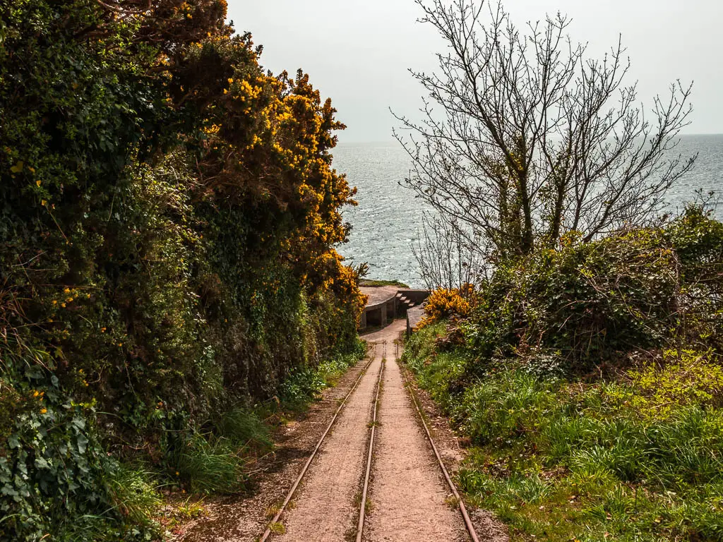 Looking down a track to a bunker at the bottom. There is a hedge wall to the left and bushes to the right. The sea is straight ahead.