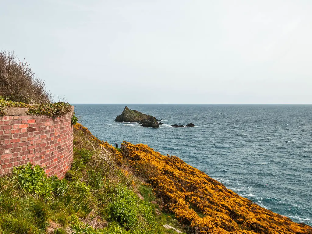 Standing on a slope veered in yellow flowers with the blue sea ahead and a sea rock, on the coastal walk from Kingswear to Brixham.