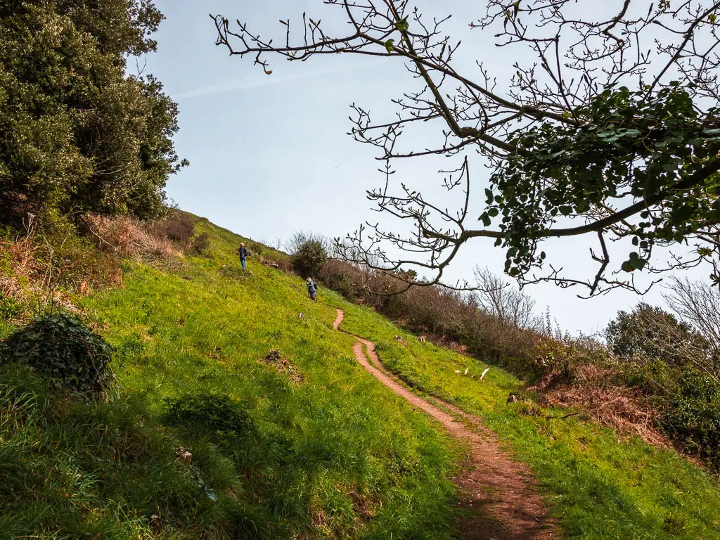 A narrow dirt trail running up the side of a steep hill. There are a couple of people ahead on the trail