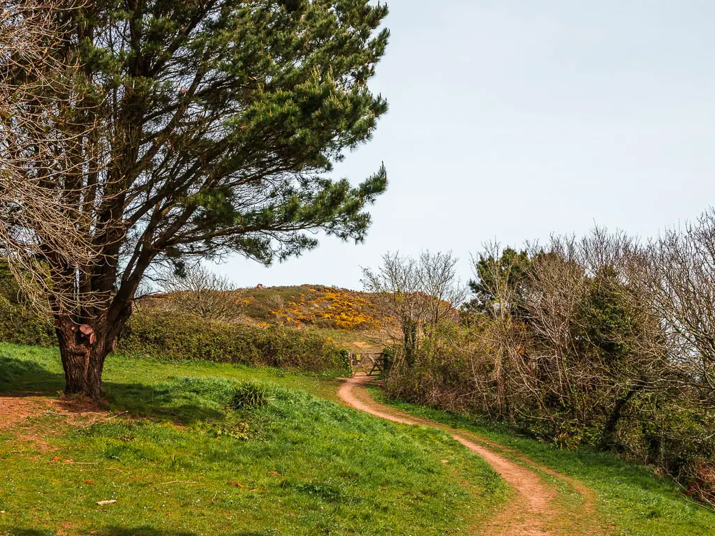 A trail running across the grass towards a wooden gate at the end. There is a large trail on the left tin the field and bushes to the right.