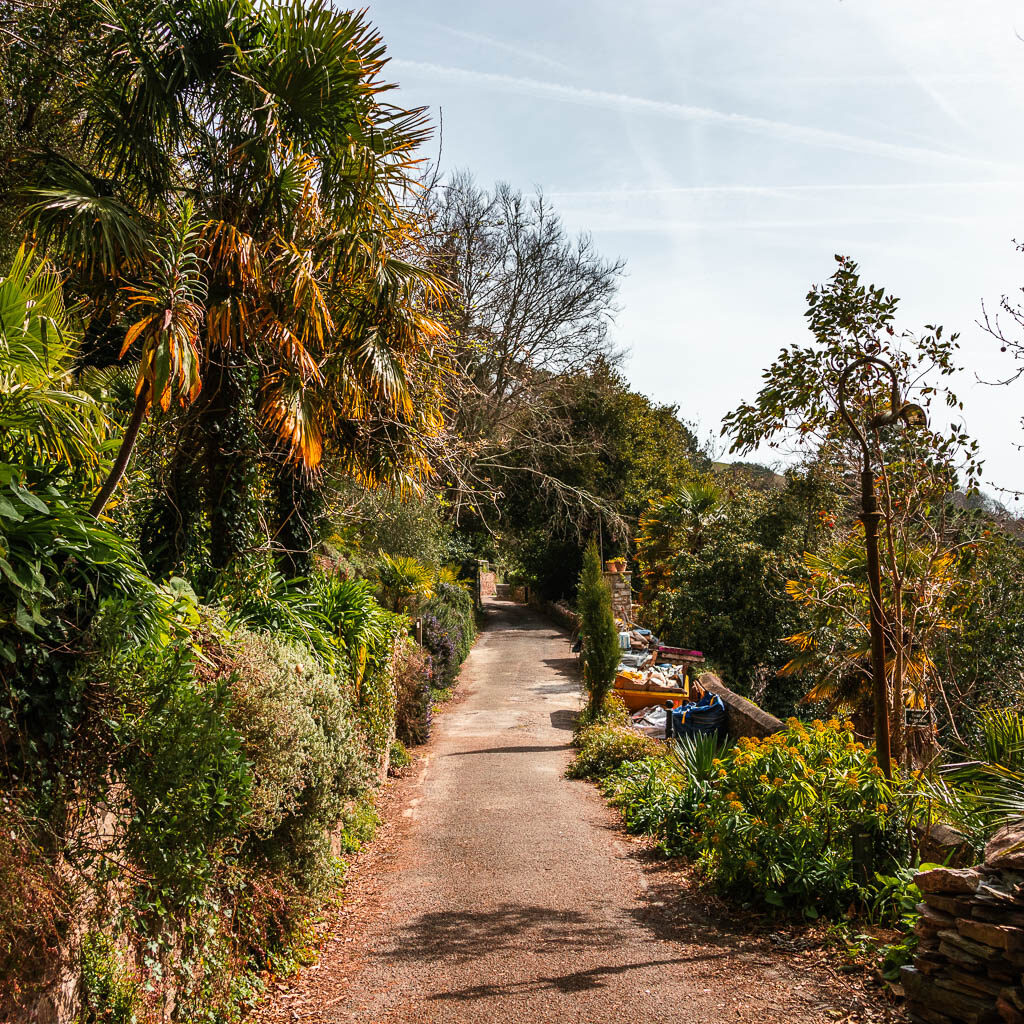 A small road with lots of greenery running along both sides.