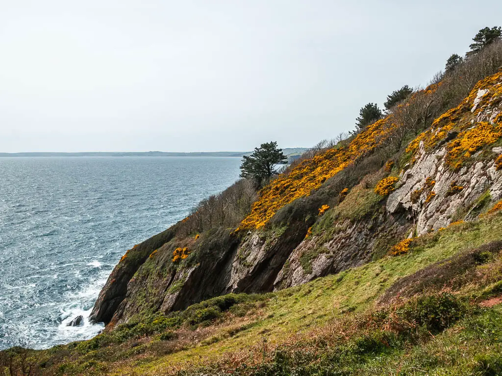 The grass covered cliffs leading down from right to left and into the blue sea.