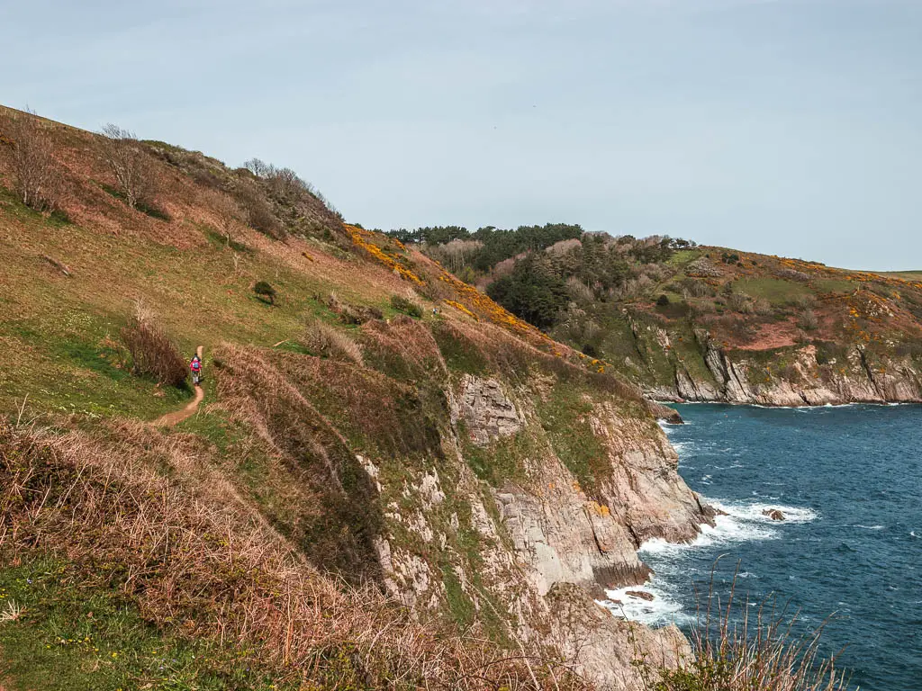 Looking to the large hill and cliff ahead to the left on the walk from Kingswear to Brixham. There is a narrow trail on the cliff edge and a person walking on it.