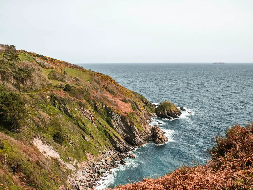 The grass covered cliffside as it meets the sea on the Kingswear to Brixham coastal walk.