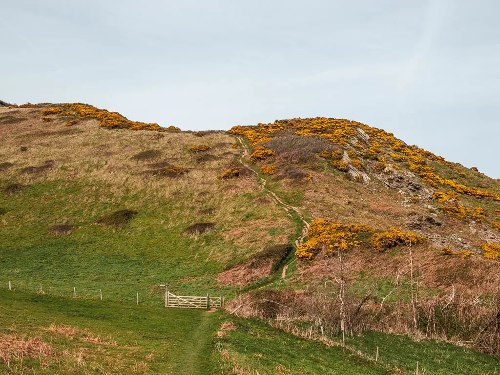 A gate at the bottom of the valley, and a steep hill up the other side. There is a trail leading up the hill.