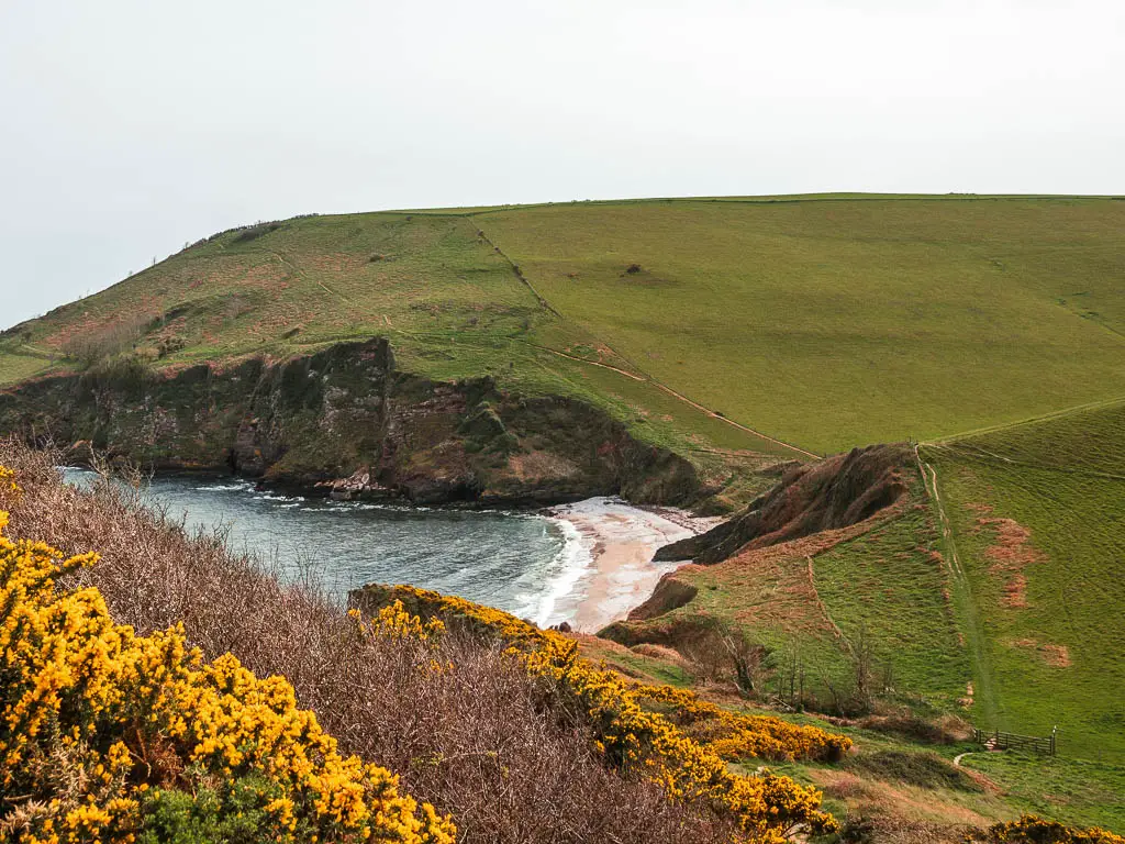 Looking down into the valley and coastline with a sandy beach cove nestled within the cliffs, on the walk from Kingswear to Brixham.