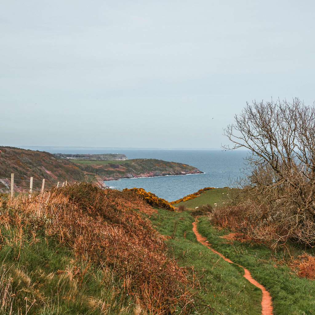 A narrow trail running through the grass with a view to the see and peninsular on the other side.