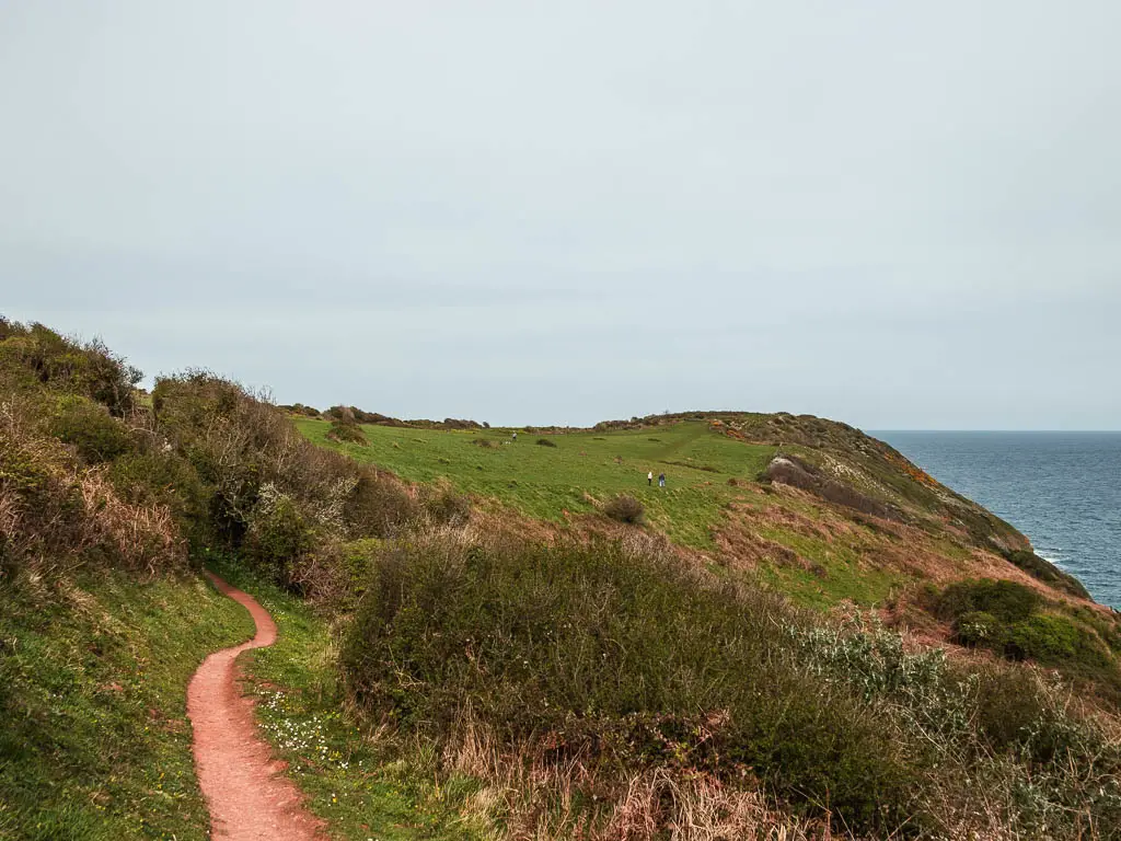 A trail running along the left side through the grass, and a view to the grass covered clifftop ahead.