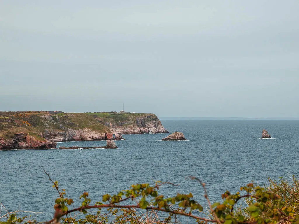 Looking across the blue sea to the Berry Head peninsular on the coastal walk from Kingswear to Brixham.