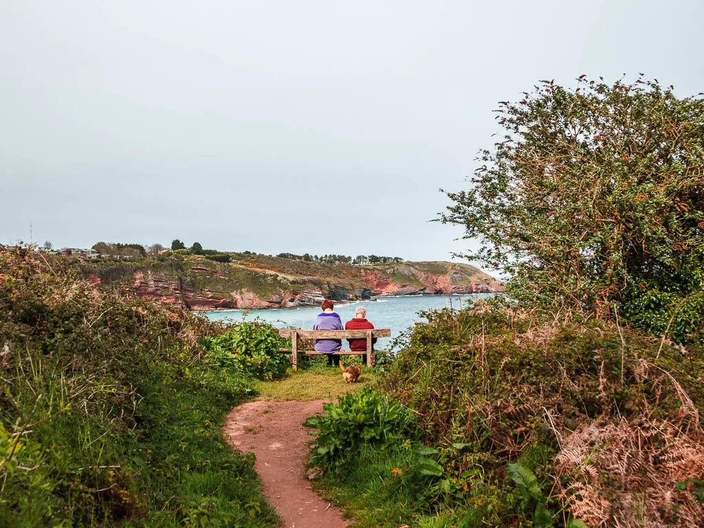 A trail leading through the grass and bushes to a wooden bench on the coastal walk from Kingswear to Brixham. There are two people sitting on the bench, looking out to the view of the sea and cliffs on the other side. 