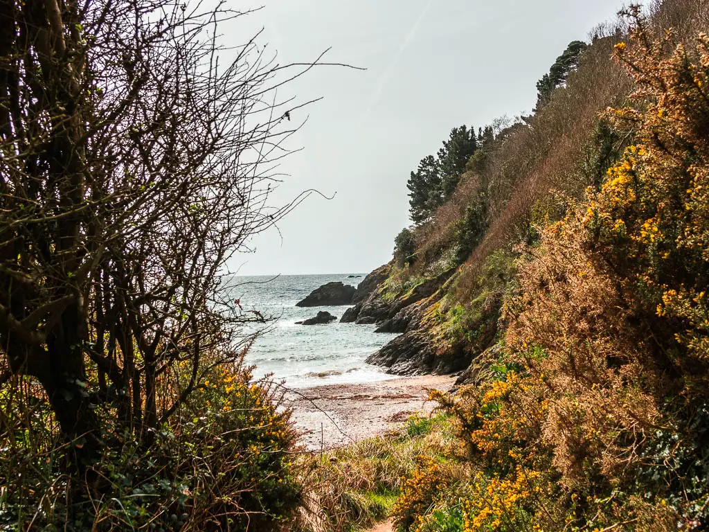 Looking through a gap in the bushes towards the beach, sea and cliffside.