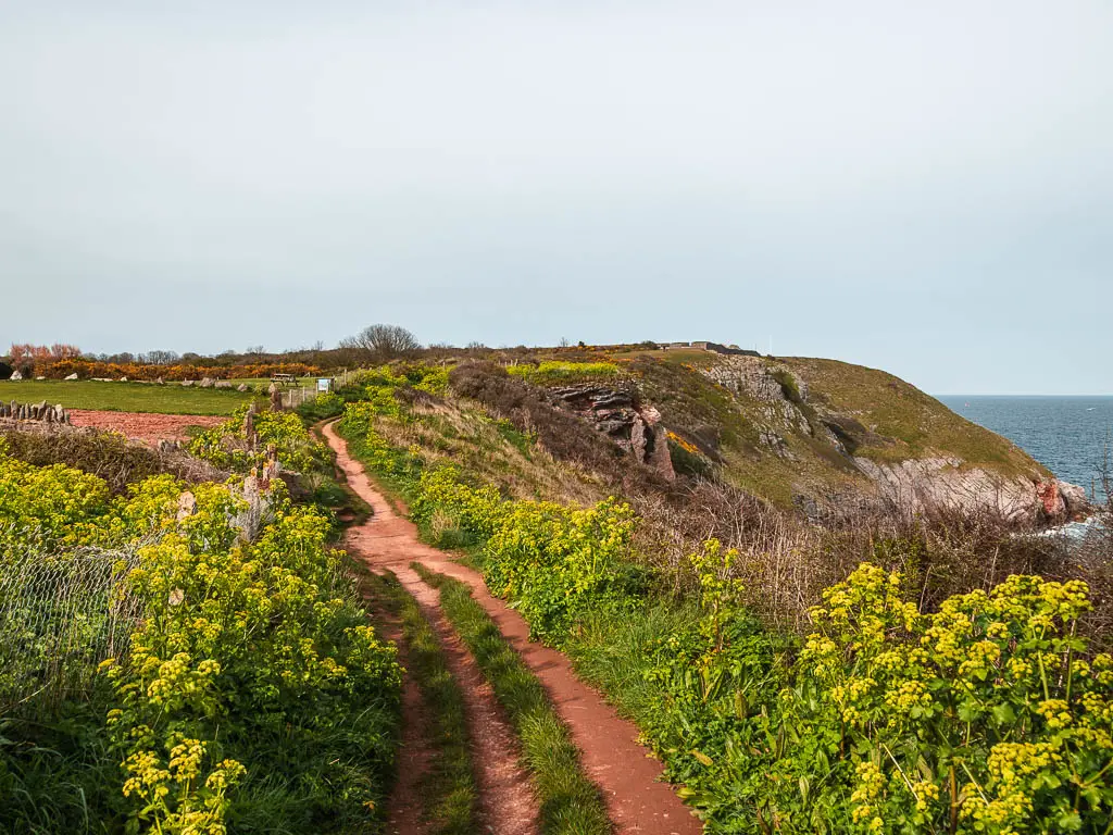 A trail running along the edge of the cliff. The trail is lined with grass and hogweed.