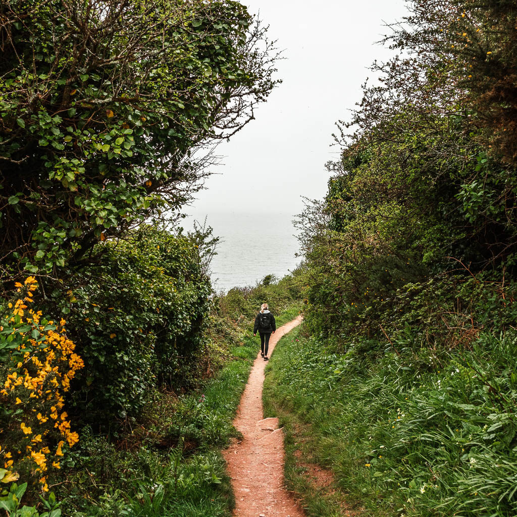 A person walking along a narrow trail between the bushes and trees.