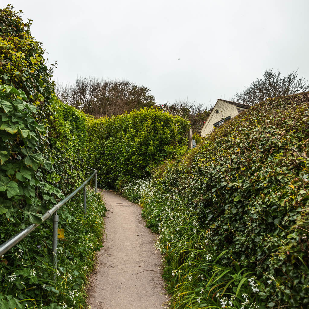 A small path lined with hedges, leading uphill.