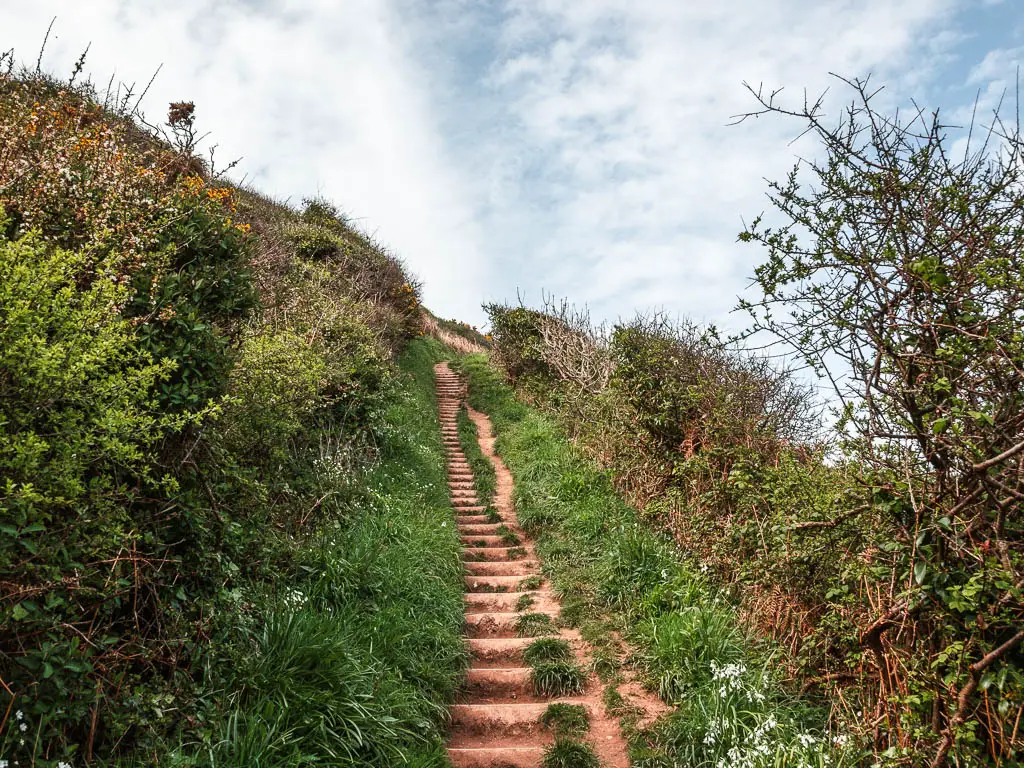 Narrow steps leading uphill, surrounded by grass and some bushes.